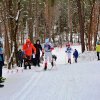 Biegi narciarskie, 19.02.2018, Tomaszów Lubelski